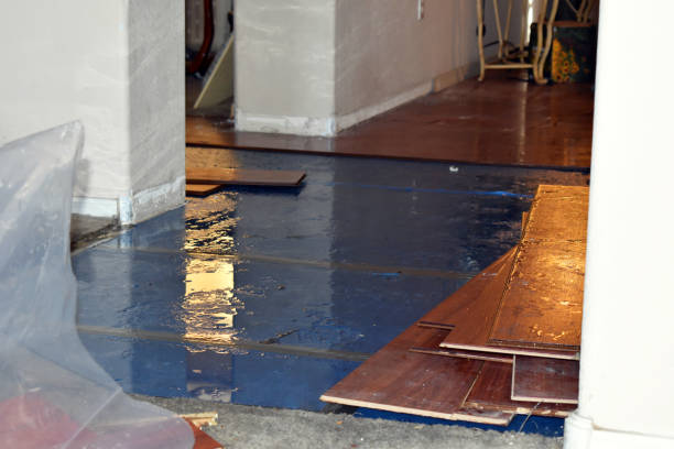 Professional Flood Damage Restoration technician working in Hewett, WV